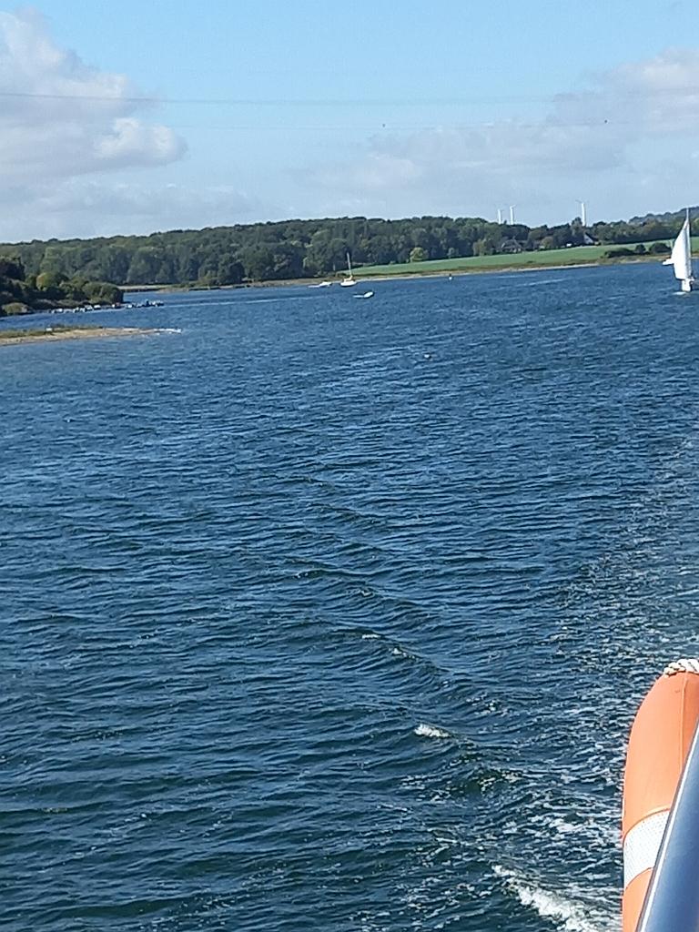 SchleswigKappeln (85)